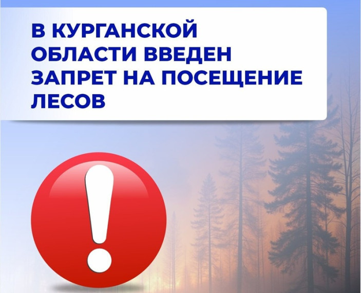 Введен запрет на посещение лесов.